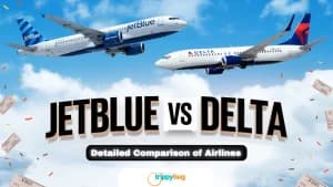 Delta vs Jetblue – Detailed Comparison of Airlines