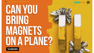 Can You Bring Magnets on A Plane – A Complete Guide