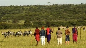 Everything You Need To Know About Masai Mara