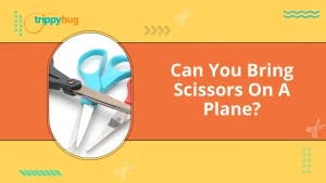 Can You Bring Scissors On A Plane?