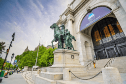 Everything you need to know about the museum of natural history, NYC
