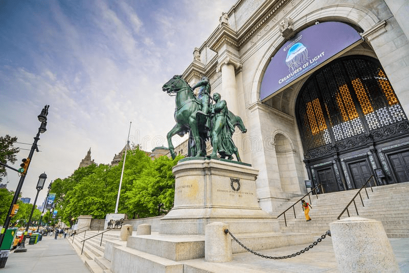 Cover Image for Everything you need to know about the museum of natural history, NYC