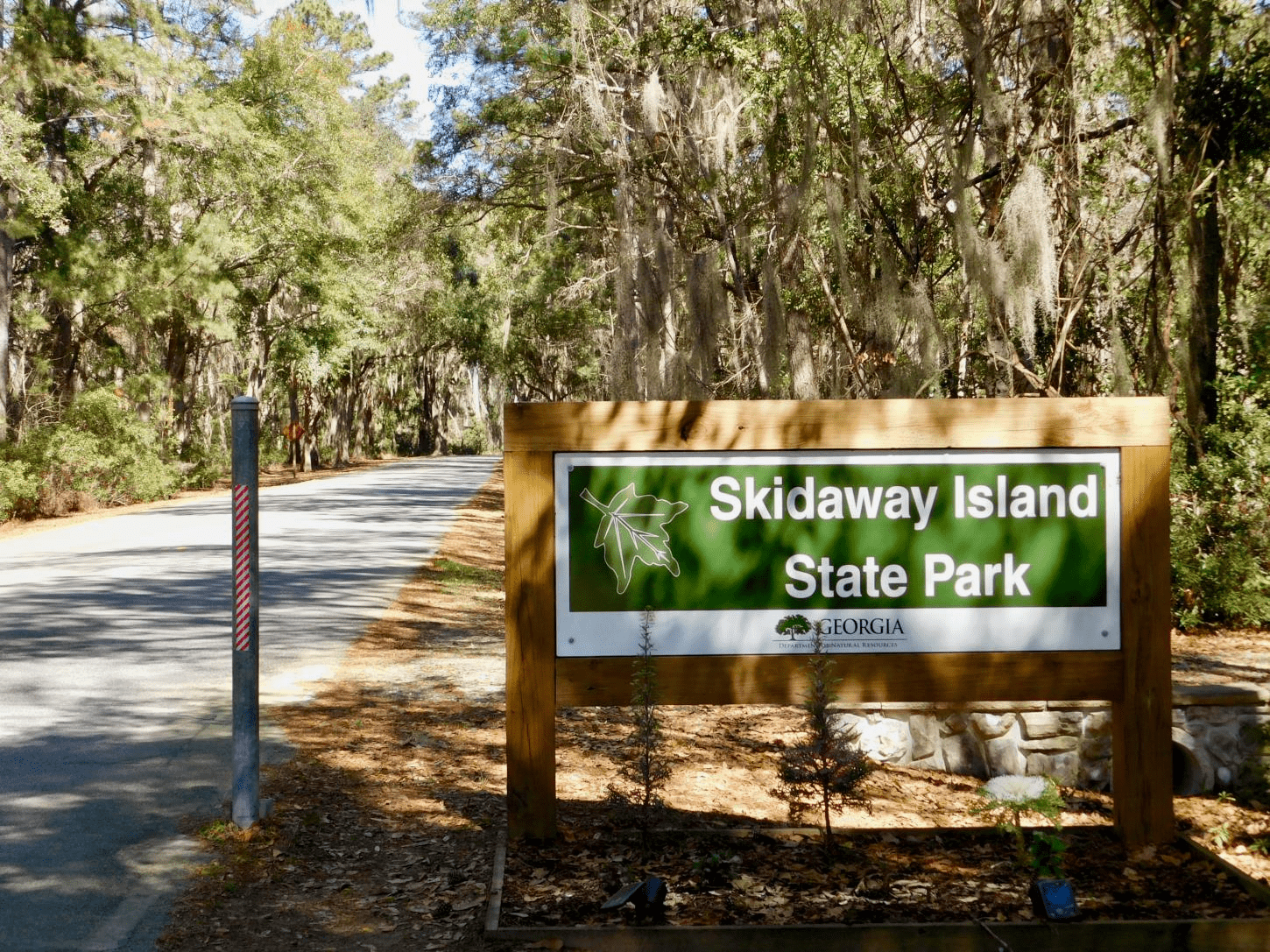 Cover Image for A complete guide to- Skidaway Island state park