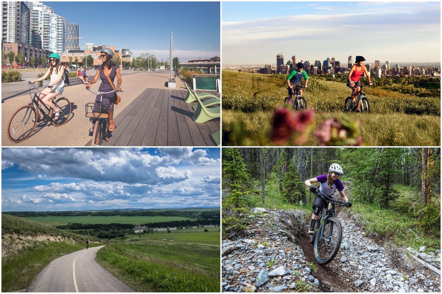 Cover Image for Top 20 bestThings To Do in Calgary 